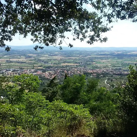 Villa La Mucchia - Viola * Cortona