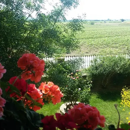 Villa La Mucchia - Viola * Cortona