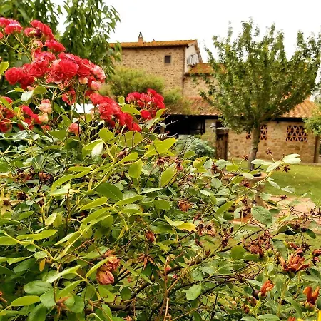Villa La Mucchia - Viola Apartment Cortona