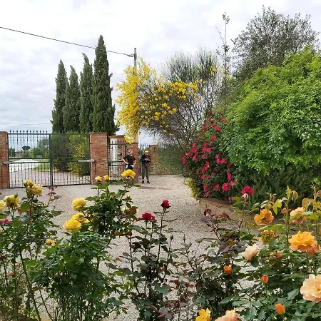 Apartment Villa La Mucchia - Viola Cortona